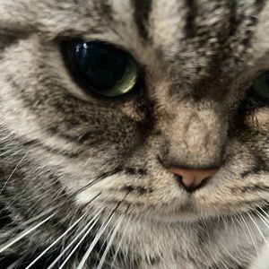 Meet your Posher, Tracey